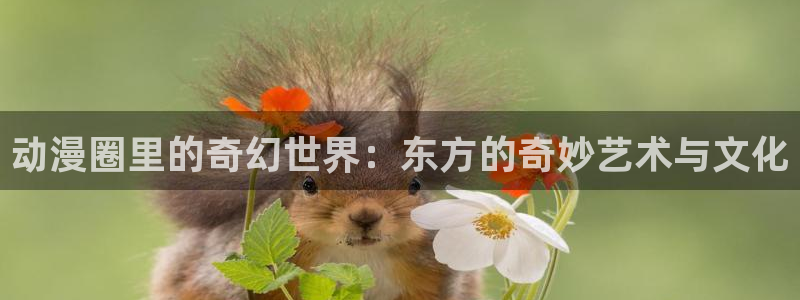 风车动漫dm530p：动漫圈里的奇幻世界：东方的奇妙艺术与文化