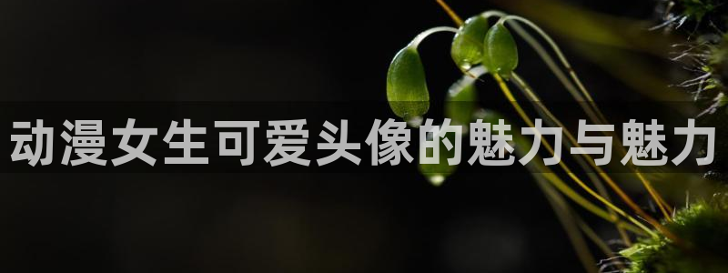 风车动漫530：动漫女生可爱头像的魅力与魅力