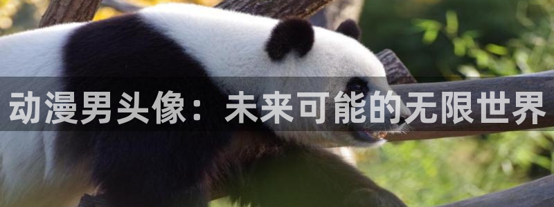 新风车动漫网：动漫男头像：未来可能的无限世界