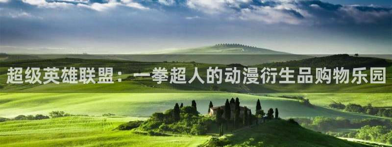 风车动漫番剧：超级英雄联盟：一拳超人的动漫衍生品购物乐园